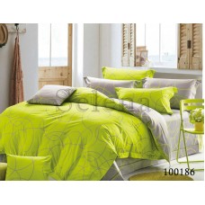 Комплект постельного белья "Линии весны" полуторный 100186-010