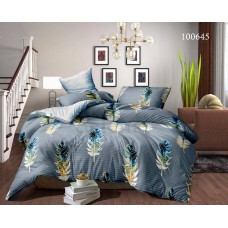 Комплект постельного белья "Перо разноцветное" полуторный 100645-010