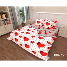 Комплект постельного белья "Любовь математика Комби" двуспальный 100675-020