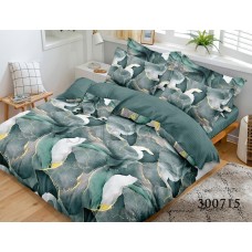 Комплект постільної білизни "Мармурові візерунки" сімейний 300715-050