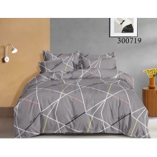 Комплект постільної білизни "Лінійний фокстрот" сімейний 300719-050